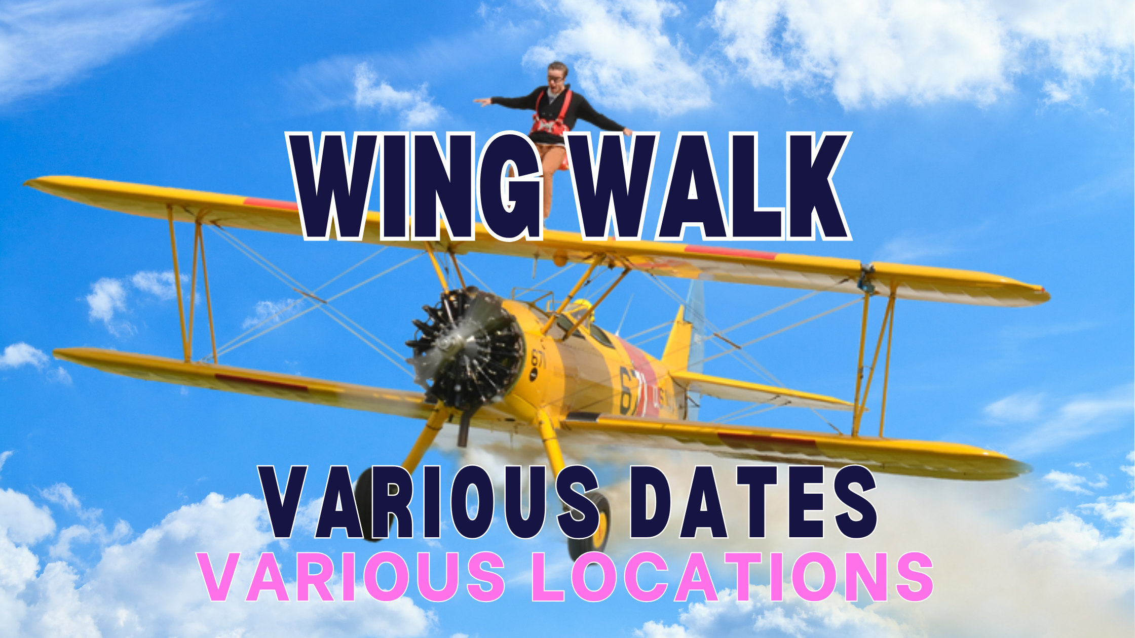 Wing Walk for Royal Berks Charity
